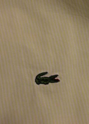 Сорочка lacoste2 фото