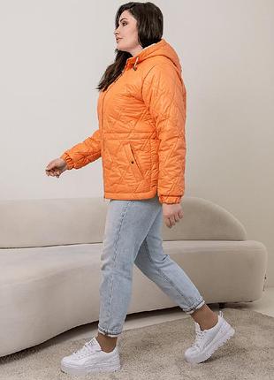 Весняна пряма коротка куртка на тинсулейті еліна великих розмірів 44-58 розміри різні кольори3 фото