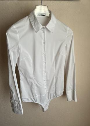 Блузка белая боди. размер 38 /s-m6 фото