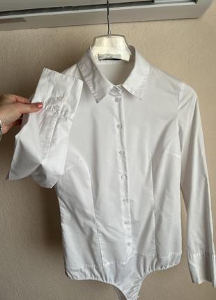 Блузка белая боди. размер 38 /s-m5 фото