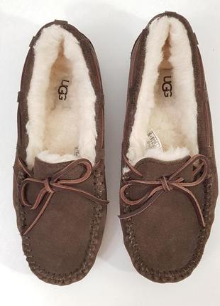 Замшевые тапки ugg оригинал