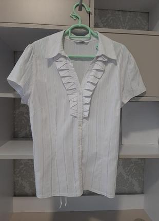 Коттоновая базовая блуза2 фото