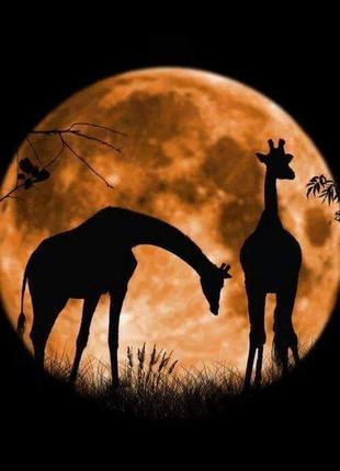 Алмазная картина жирафы на фоне луны 30х40 см, hx0251 фото