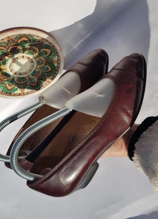 Кожаные туфли tiziana conti итальялия 377 фото