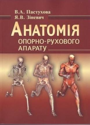 Анатомія опорно-рухового апарату: навчальний посібник. пастухова в.а., зіневич я.в.