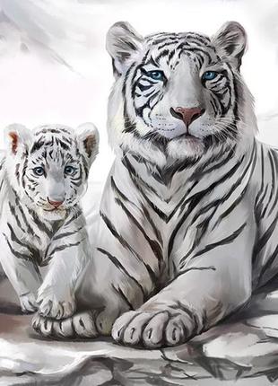 Алмазна картина білі тигри 30х40 см, hx011