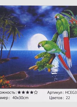 Картины по номерам 40х30см tk group попугаи, на подрамнике с красками, кистями, 31676
