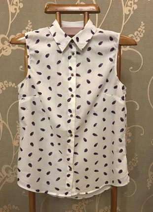 Очень красивая и стильная брендовая блузка в пёрышках...100% коттон 20.