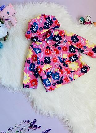 Вітровка f&f малятку 1.5-2 роки