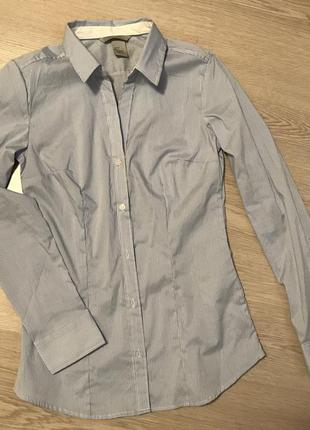 Классическая блуза h&m