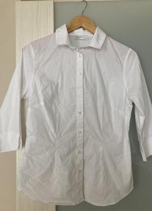 Рубашка, блуза, сорочка papaya