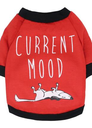 Свитшот для котов и кошек pet style "current mood" красный