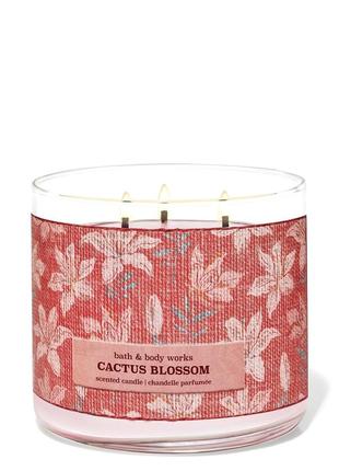 Свічка bath and body works cactus blossom свечка