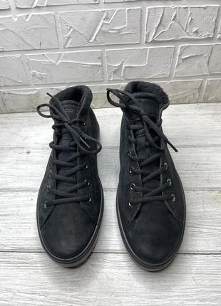 Зимние полуботинки утеплённые ecco clarks hotter polo zara gucci moncler3 фото