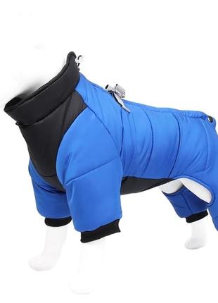 Комбинезон на малую собаку