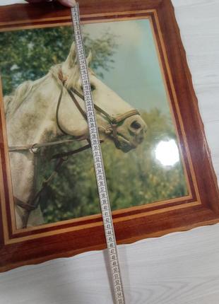 Старинная деревянная настенная картина лакированная белая лошадь2 фото