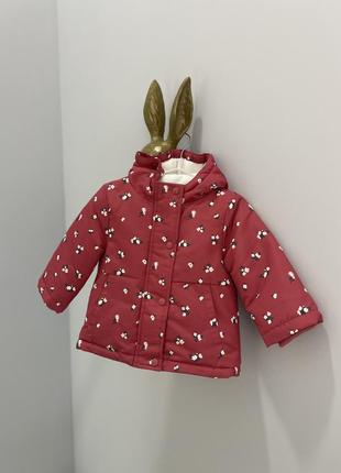 Демісезона курточка для дівчинки primark