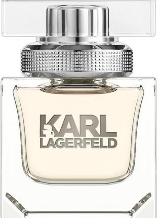 Karl lagerfeld for her ❤️‍🔥
