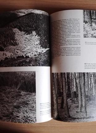 Книга ян єник ілюстрована енциклопедія лісів 19876 фото