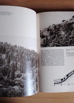 Книга ян єник ілюстрована енциклопедія лісів 19874 фото