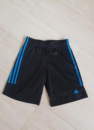 Шорти adidas