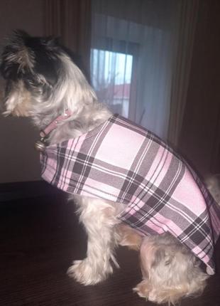 Собача жилетка