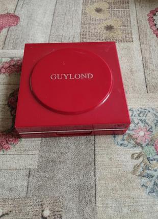 Палетка для макияжа guylond