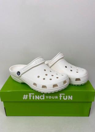 Classic white crocs класичні білі крокси1 фото