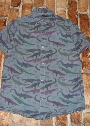 Котон рубашка тениска динозавры мальчику  8 лет  next