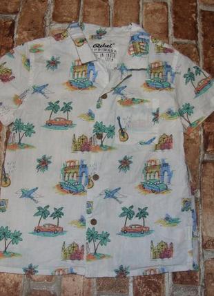 Котон рубашка тениска мальчику 6 - 7  лет  rebel