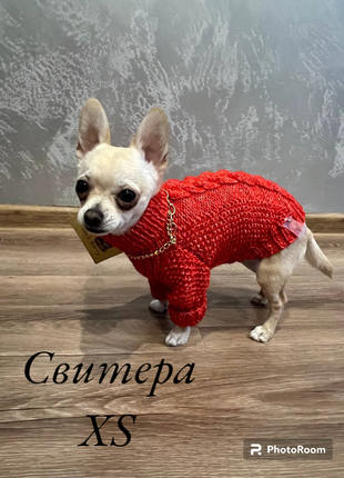 Свитер размера s для маленькой собачки