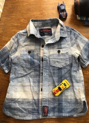 Летняя рубашка для мальчика 9-12 мес. next