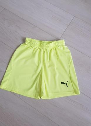 Шорты puma