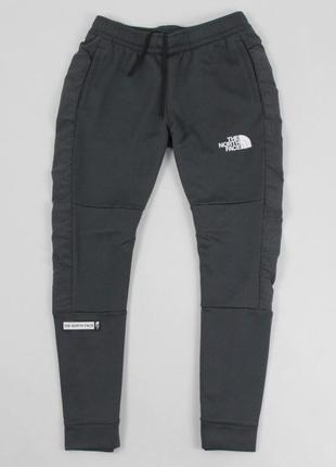 Спортивні штани the north face1 фото