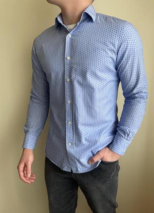 Блакитна класична сорочка massimo dutti з узором, узор. оригінал, массімо дутті, голуба, під костюм, піджак, брюки