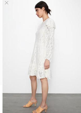 Zara кремовое новое! кружевное платье вышитое цвет экрю размер s2 фото