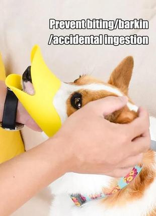 Намордник для хатніх тварин s качечка