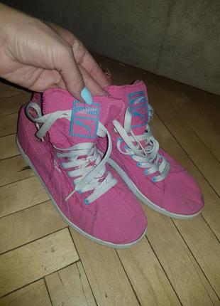 Кедики puma