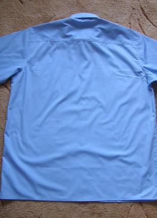 Тенниска голубая david luke (англия) большой размер xxxl батал 18"3 фото