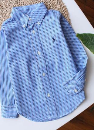 Стильная голубая рубашка в полоску с логотипом ralph lauren 3 р