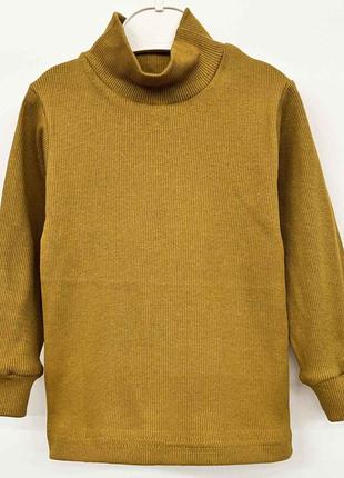 Водолазка детская гольф для мальчика