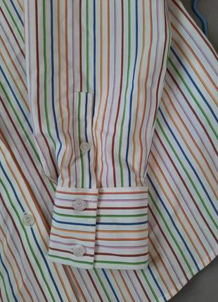 Базовая женская блуза рубашка классический стиль №5273 фото