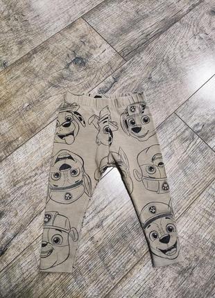 Штаны, лосины двунитка петельки, zara, paw patrol, р. 80-86, 12-18мес., длинна 42см