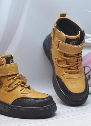 Демісезонні черевики хайтопи для хлопчиків clibee3 фото