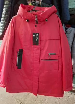 Куртка 56 г. весна на синтепоне