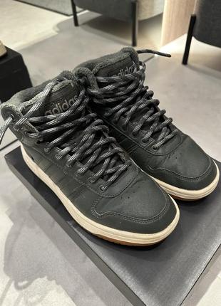 Кроссовки высокие adidas hoops 2.0 mid