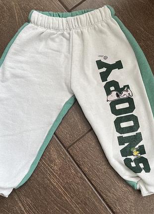 Джогери zara