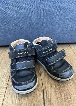 Черевики geox (розмір 24, на 14.5 см)