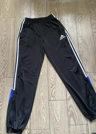 Спортивные штаны adidas1 фото