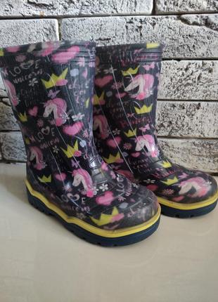 Резиновые сапоги litma